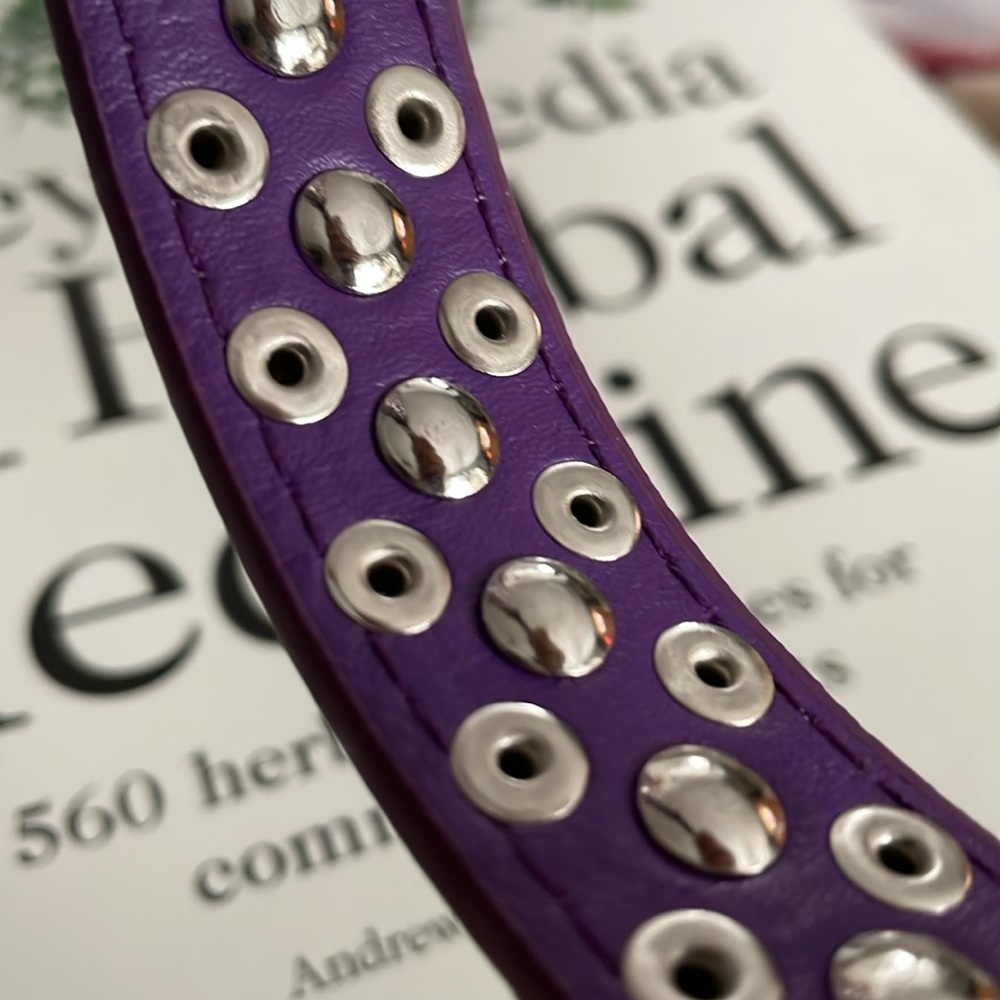 Purple Collar - Picture 4 of 5